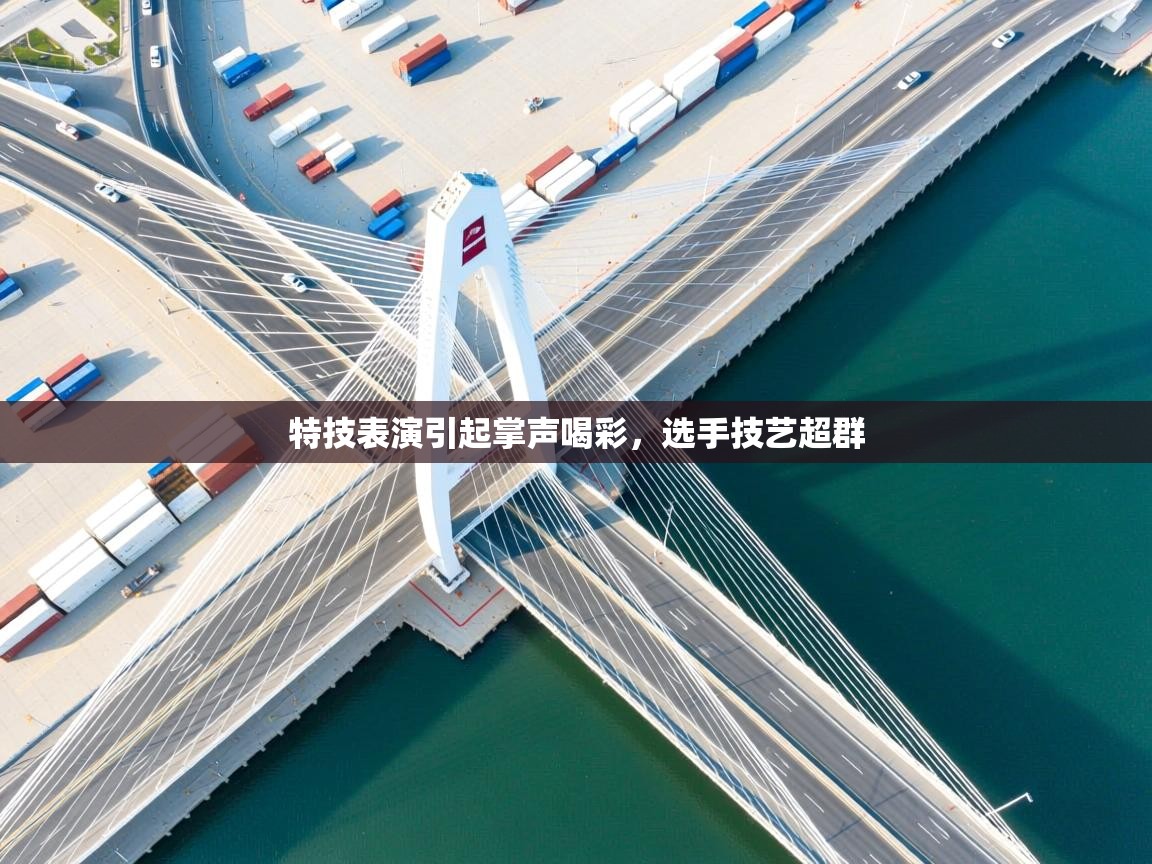 特技表演引起掌声喝彩，选手技艺超群  第1张