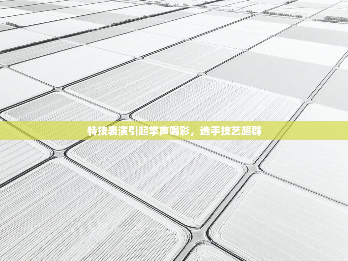 特技表演引起掌声喝彩，选手技艺超群  第2张